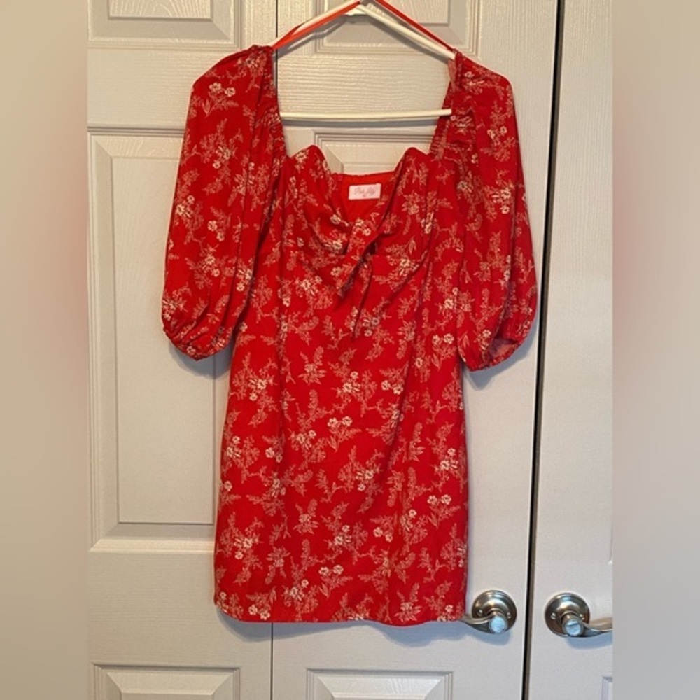 Pink Lily Red Floral Mini Dress